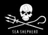 sea_shepherd.jpg